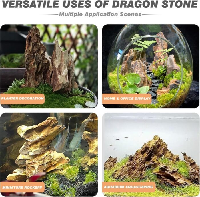 Dragon Stone Aquarium Rocks 5lb Seiryu Stone for Fish Aquariums ...