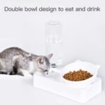 Marchul Cat Bowls, Cat Food and Water Bowl Set, 15° Tilted Cat Bowl for Indoor Cats, Cat Dishes with Automatic Waterer Bottle,Cat Bowl for Cats and Small Dogs - Image 3