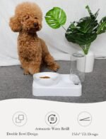 Marchul Cat Bowls, Cat Food and Water Bowl Set, 15° Tilted Cat Bowl for Indoor Cats, Cat Dishes with Automatic Waterer Bottle,Cat Bowl for Cats and Small Dogs - Image 6