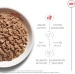 Royal Canin Feline Health Nutrition Kitten Thin Slices in Gravy Canned Cat Food, 3 oz can (12-Count) - Image 5