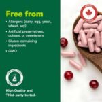 Organika Women’s UTI & Urinary Tract Support– Synergystic Blend of Cranberry 50:1 Extract with Hibiscus (Roselle) & Dandelion – Bladder & Urinary Health Formula, Antioxidant Support- 60vcaps - Image 5