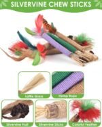 Silvervine Cat Chew Sticks, 12 Pack Catnip Chew Toys with Natural Feather for Kittens Teeth Cleaning, Matatabi Dental Care, Increase Appetite, Aggressive Chewers Cat Dental Toy - Image 4