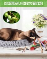 Silvervine Cat Chew Sticks, 12 Pack Catnip Chew Toys with Natural Feather for Kittens Teeth Cleaning, Matatabi Dental Care, Increase Appetite, Aggressive Chewers Cat Dental Toy - Image 6