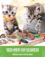 Silvervine Cat Chew Sticks, 12 Pack Catnip Chew Toys with Natural Feather for Kittens Teeth Cleaning, Matatabi Dental Care, Increase Appetite, Aggressive Chewers Cat Dental Toy - Image 7