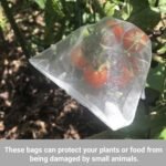 1 Gallon Nylon Paint Strainer Bags, 15‑Pack, 28 × 32 cm – Durable Reusable Filter for Smooth Painting, Water Culture & Plant Protection by Easy‑Fit Elastic Design, White - Image 4