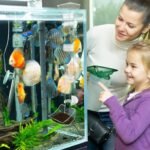 Aquarium Feeding Tube Set - 28cm Transparent Acrylic Fish & Shrimp Feeder with Spoon for Easy Refill, Cleaning Brush Included, Suction Cup Mount for Stable Feeding in Fish Tanks - Image 7