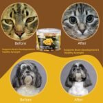 Freeze Dried Quail Egg Yolk Treats for Cats Dogs Increase Appetite, All Natural Freeze-Dried Limited Ingredient Pet Snacks, Healthy Training Treats Cookies for Dogs Puppy 80g (S, Quail) - Image 7