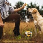 Freeze Dried Quail Egg Yolk Treats for Cats Dogs Increase Appetite, All Natural Freeze-Dried Limited Ingredient Pet Snacks, Healthy Training Treats Cookies for Dogs Puppy 80g (S, Quail) - Image 8