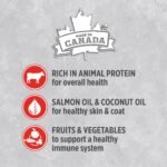 Nutrience Infusion Wet Dog Food- Beef, 369g - Image 4