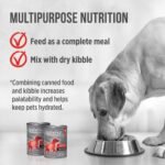 Nutrience Infusion Wet Dog Food- Beef, 369g - Image 5