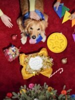 LE TAUCI Ceramic Slow Feeder Dog Bowls Small Breed, 0.6 Cups Dog Food Dish for Fast Eaters, Puzzle Bowl for Small Dogs and Cats, Angle White - Image 3