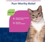 NaturVet Cranberry Relief Plus Echinacea for Cats, 60 ct Soft Chews, Made in USA - Image 5