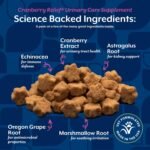 NaturVet Cranberry Relief Plus Echinacea for Cats, 60 ct Soft Chews, Made in USA - Image 6