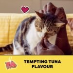 TEMPTATIONS Cat Treats, Tempting Tuna Flavour, 350g Pouch - Image 4