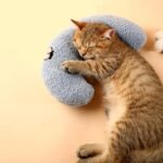 Les Arbres Fair Little Pillow for Cats, Ultra Soft Fluffy Pet Calming Toy Half Donut Cuddler for Joint Relief Sleeping Improve Machine Washable - Image 3