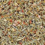 Hagen B2791 Gourmet Seed Mix for Budgies, 1 Kg 2.2-Pound - Image 5
