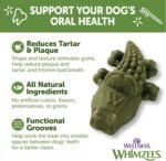 WHIMZEES WHZ320 Natural Grain Free Dental Dog Treats, Alligator, Bag of 12 Medium - Image 4