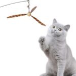 Lystaii Cat Wand Toys, Interactive Cat Feather Toys with 3 Feather Refills with Bell Steel Wire Cat Toy for Indoor Cats Wood Handle Cat Teaser String Toy Feather Propeller for Kitten (Piebald) - Image 7