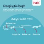 Halti Training Leash - Multifunctional Double-Ended Dog Leash, Ideal for Anti-Pulling Dog Training. Lightweight & Durable. Suitable for Medium to Large Dogs & Puppies (Size Large, Cobalt Blue, 2m) - Image 3