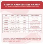 Downtown Pet Supply Step in Dog Harness for Small Dogs No Pull, Small, Floral - Adjustable Harness with Padded Mesh Fabric and Reflective Trim - Buckle Strap Harness for Dogs - Image 3