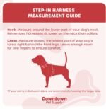 Downtown Pet Supply Step in Dog Harness for Small Dogs No Pull, Small, Floral - Adjustable Harness with Padded Mesh Fabric and Reflective Trim - Buckle Strap Harness for Dogs - Image 4