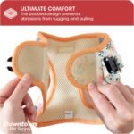 Downtown Pet Supply Step in Dog Harness for Small Dogs No Pull, Small, Floral - Adjustable Harness with Padded Mesh Fabric and Reflective Trim - Buckle Strap Harness for Dogs - Image 8