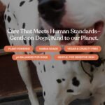 Dandylion Clean Paws | No-Rinse Dog Paw Cleaner & Dog Paw Washer | Fragrance-Free, pH Balanced Foaming Cleanser with Silicone Bristle Brush | Designed for All Breeds & Sizes | 5 fl oz - Image 7