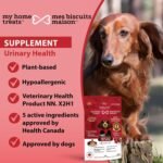 Dog Urinary Health Supplement Bundle (3 × 170 g) – Bladder & Kidney Support | Cranberry, D-Mannose, Marshmallow Root, Reishi & Astragalus | Dog Urinary Tract Support | Health Canada VHP NN.X2H1 - Image 5