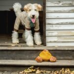 CHEWFFON Interactive Hide-and-Seek Burrow Toys, Dog Toys for Boredom, Cute Squeaky Plush Toys, Dog Toys for Small Medium and Large Dogs, Crinkle Snuffle Puzzle Toy-Chestnuts 4 Piece Set - Image 8