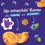 Fruitables Skinny Minis Pumpkin & Berry Soft & Chewy Dog Treats - Image 8