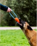 Chuckit! Ultra Bumper Tug Dog Toy,Orange,Medium - Image 5