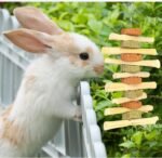 1PCS Rabbit Chew Toy for Dental Health, Natural Timothy Hay & Sweet Bamboo Carrot-Shaped Chewing Treat for Bunnies, Guinea Pigs, Hamsters, Small Rodents - Image 3