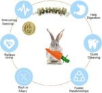 1PCS Rabbit Chew Toy for Dental Health, Natural Timothy Hay & Sweet Bamboo Carrot-Shaped Chewing Treat for Bunnies, Guinea Pigs, Hamsters, Small Rodents - Image 4