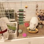 1PCS Rabbit Chew Toy for Dental Health, Natural Timothy Hay & Sweet Bamboo Carrot-Shaped Chewing Treat for Bunnies, Guinea Pigs, Hamsters, Small Rodents - Image 6