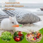 1PCS Rabbit Chew Toy for Dental Health, Natural Timothy Hay & Sweet Bamboo Carrot-Shaped Chewing Treat for Bunnies, Guinea Pigs, Hamsters, Small Rodents - Image 7