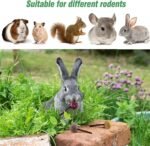 1PCS Rabbit Chew Toy for Dental Health, Natural Timothy Hay & Sweet Bamboo Carrot-Shaped Chewing Treat for Bunnies, Guinea Pigs, Hamsters, Small Rodents - Image 8