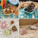 3 Pcs Hamster Ceramic Food Bowl, Turning Food Water Dish for Hamster Gerbil Hedgehog Rat Rodent, (Green and Pink+Blue) - Image 4