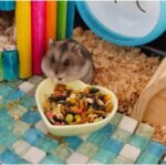 3 Pcs Hamster Ceramic Food Bowl, Turning Food Water Dish for Hamster Gerbil Hedgehog Rat Rodent, (Green and Pink+Blue) - Image 6