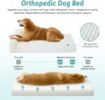 Cute Dog Bed, Faux Fur Orthopedic Foam Dog Bed with Sides, Removable Washable Cover & Waterproof Lining, Comfortable Pet Couch for Small Dogs, Cream (30" L x 20" W x 6" Th) - Image 5