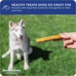 Downtown Pet Supply 12 Inch (30 CM) Jumbo USA Bully Sticks for Dogs - Natural Thick American Dog Dental Chew Treats, High in Protein, Alternative to Rawhides (12 Inch, 1 LB) - Image 5