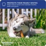 Downtown Pet Supply 12 Inch (30 CM) Jumbo USA Bully Sticks for Dogs - Natural Thick American Dog Dental Chew Treats, High in Protein, Alternative to Rawhides (12 Inch, 1 LB) - Image 7