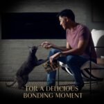 Sheba Meaty Tender Sticks with Chicken Cat Treats (5 Treats), 0.7 oz - Image 9