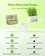 3.53oz Crunchy Cat Grass Treats for Hairball Control – Natural Chicken, Cat Grass & Catnip Biscuits, Low-Calorie Healthy Snacks for Indoor Cats, Digestive & Dental Care - Image 4