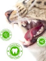 3.53oz Crunchy Cat Grass Treats for Hairball Control – Natural Chicken, Cat Grass & Catnip Biscuits, Low-Calorie Healthy Snacks for Indoor Cats, Digestive & Dental Care - Image 6