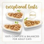 Fancy Feast Wet Cat Food, Cheddar Delights Variety Pack 3 Flavours - 85 g Can (12 Pack) - Image 9
