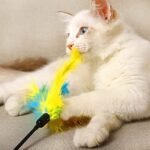 Cat Feather Toys, Interactive Cat Wand Toys Cat Teaser with Bell - 18'' Long Feather Wand for Cat and Kitten (6 Pcs) - Image 3