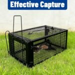 Humane Rat Trap Cage - Reusable Live Animal Traps for Indoor & Outdoor Use - Effective for Mice, Voles, Chipmunks - Safe & Easy Set Rodent Trap - Image 7