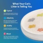 PrettyLitter Health Monitoring Cat Litter (Lotus Flower, Non Clumping) | Lightweight & Low Tracking, Colour Changing Silica Gel Crystals, Advanced Odour Control — 6 Lbs, 1-Pack (Up to 1 Month Supply) - Image 7