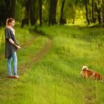 Chew Proof Dog Leash,6ft Heavy Duty Metal Cable Lead Made of Coated Wire Rope,Great for Medium and Large Dogs (Black+Blue, 6FT) - Image 7