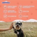 Nutri Bites Freeze Dried Salmon Dog & Cat Treats | Healthy Pet Training Treats or Food Topper | All Natural, 1 Single Animal Protein, High Protein | Premium Bulk Value Pack, 14 oz - Image 5